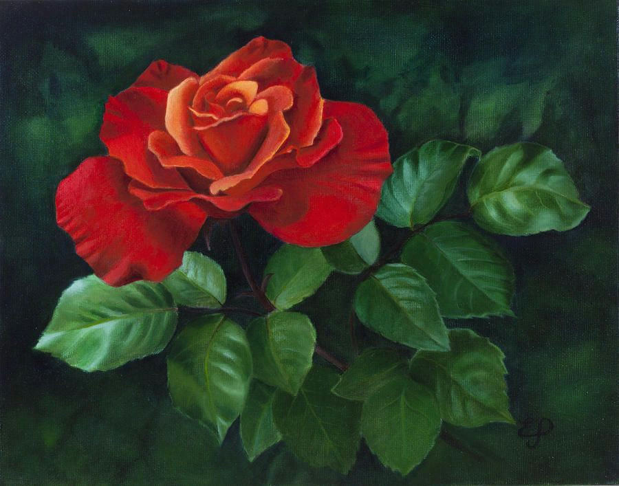 Drawing Of A Single Red Rose Red Roses Paintings Google Search Red Roses Pinterest