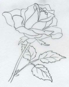 Drawing Of A Single Rose 40 Best Beautiful Drawn Roses Images Drawing Techniques Rose
