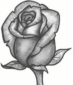 Drawing Of A Single Rose Drawing Beautiful Roses Rose Drawings Rose Symbol Of Love Rose