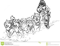 Drawing Of A Sled Dog 236 Best Dog Sledding Mushing Images Sled Dogs Husky Dog Scouts