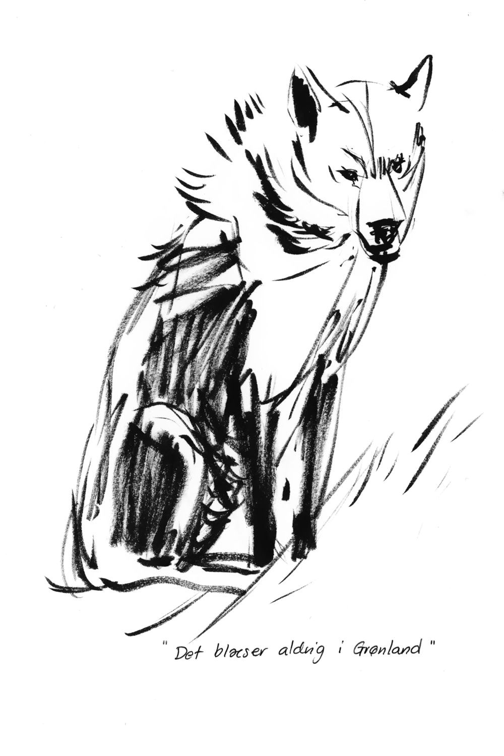 Drawing Of A Sled Dog Papir Illustration Camilla Boman Jensen Art Pinterest