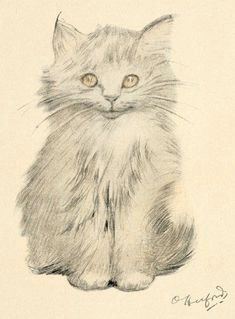 Drawing Of A Small Cat 91 Best Oliver Herford S Cats Images Cat Kitty Kitty Cats