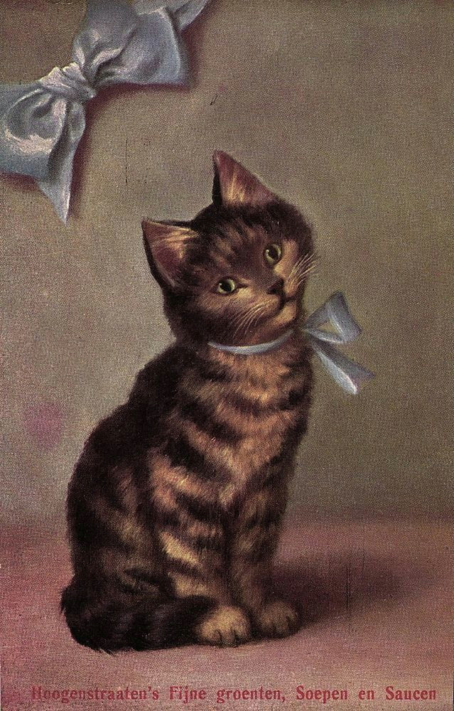 Drawing Of A Small Cat Cute Cat with Ribbon Sperlich Artist Postcard Ca 1910 S Feline