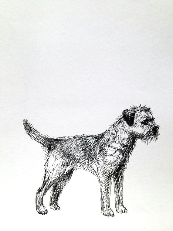 Drawing Of A Small Dog Border Terrier Dog Sketch Ink On Paper Everything Dogs Border