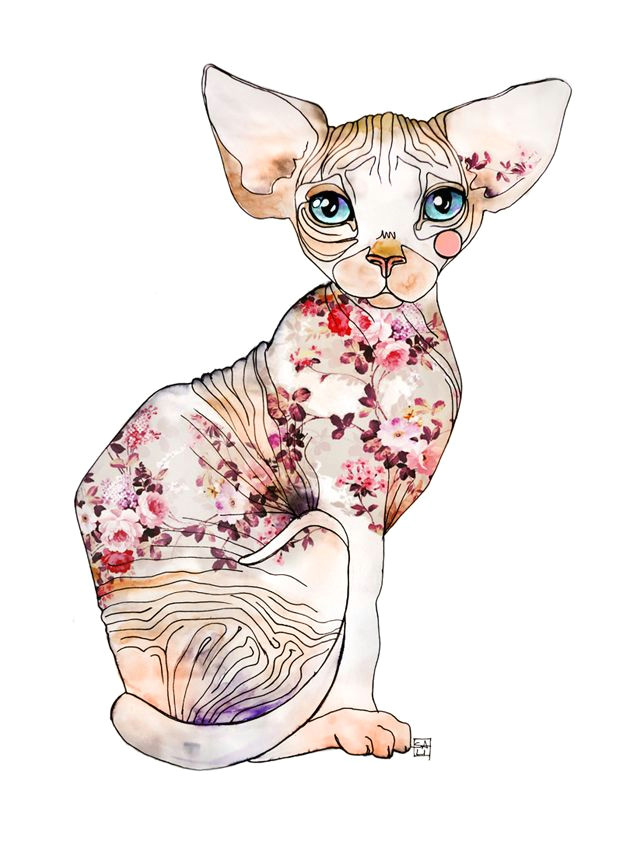 Drawing Of A Sphynx Cat 100 Tumblr Artsy Pinterest Sphynx Cat Art and Sphynx Cat
