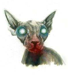 Drawing Of A Sphynx Cat 20 Best Sphynx Artwork Images Sphynx Cat Sphinx Cat Sphynx