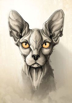 Drawing Of A Sphynx Cat Die 339 Besten Bilder Von Art Sphynx Sphynx Sphynx Cat Und Zbrush