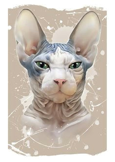 Drawing Of A Sphynx Cat F3de8c708bc4e5794c7713967661504f Sphinx Cat Drawing Sphynx Jpg 236