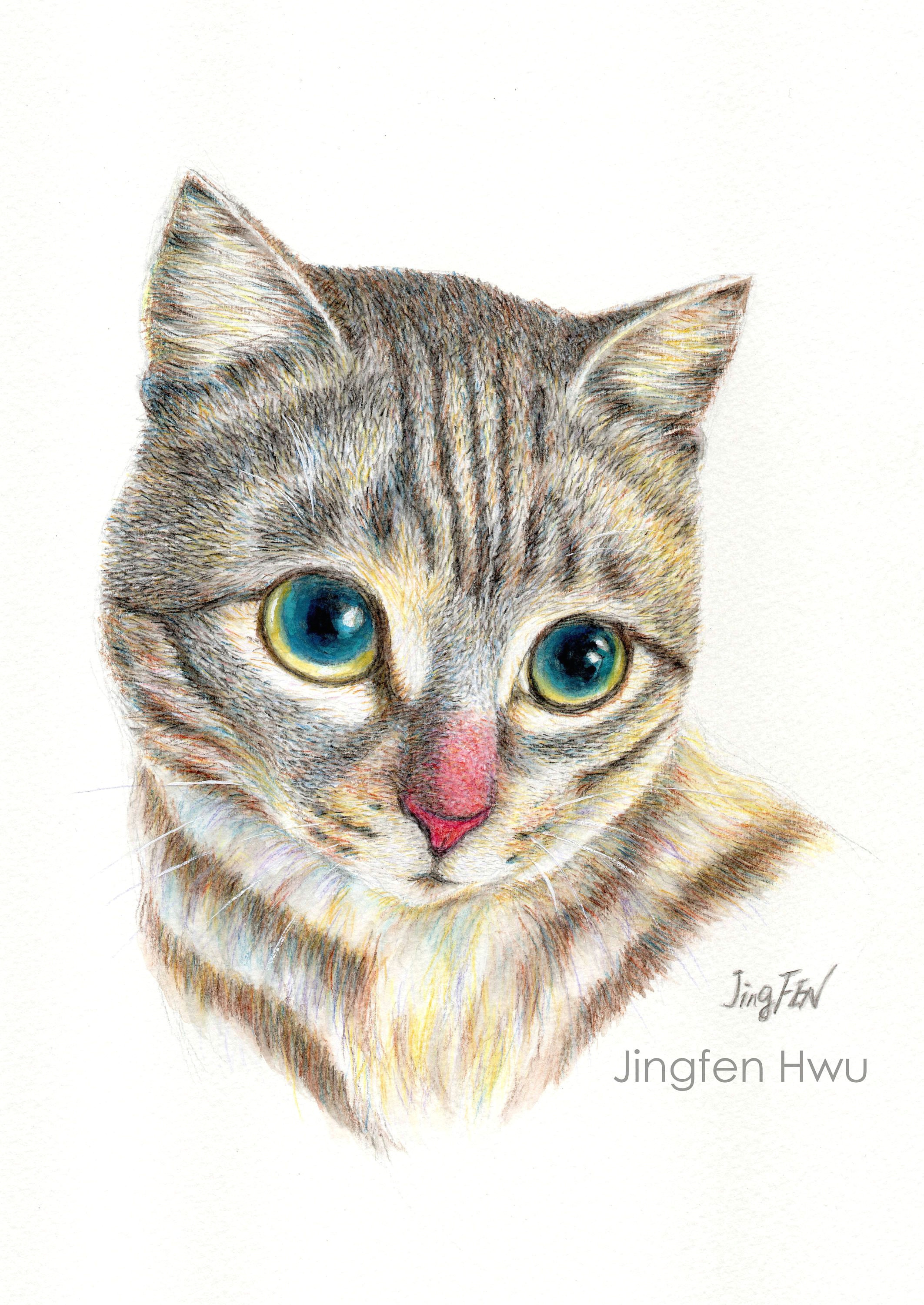 Drawing Of A Tabby Cat Cat Art Print A Grey Tabby Cat Stripped Cat Painting Cat Lover