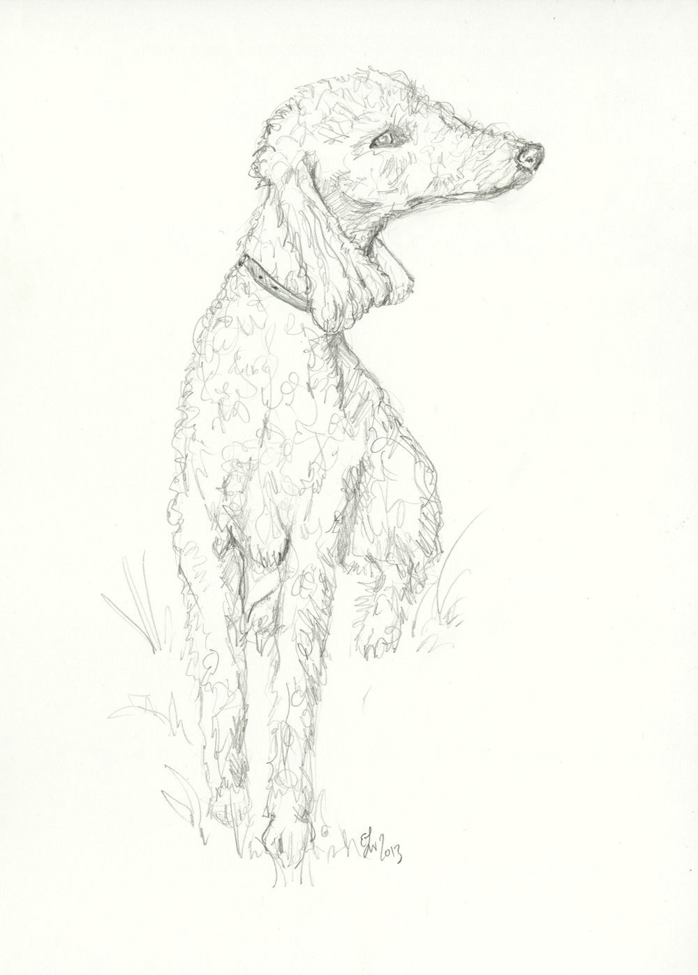Drawing Of A Terrier Dog Bedlington Terrier Sketch Dogs Pinterest Terrier Sketches and