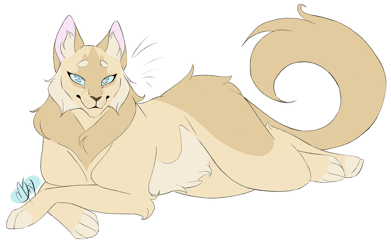 Drawing Of A Warrior Cat 100 Warrior Cats Challenge 48 Daisy Another Great Mom I Really