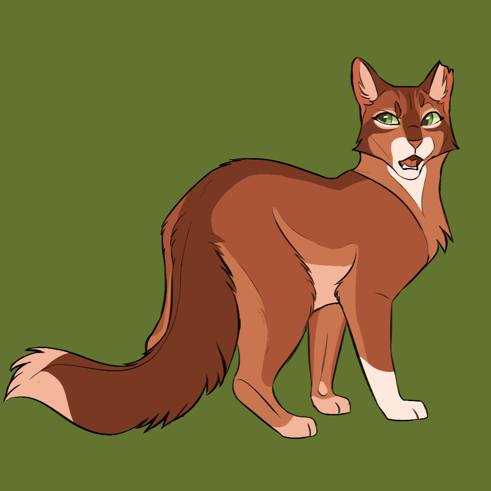 Drawing Of A Warrior Cat Squirrelflight by Climbtothestars On Deviantart Tap the Link now