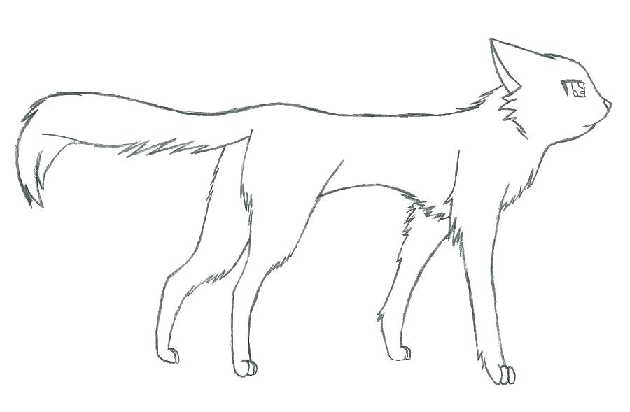 Drawing Of A Warrior Cat Warrior Cat Coloring Pages Unique Warrior Cat Coloring Pages Warrior