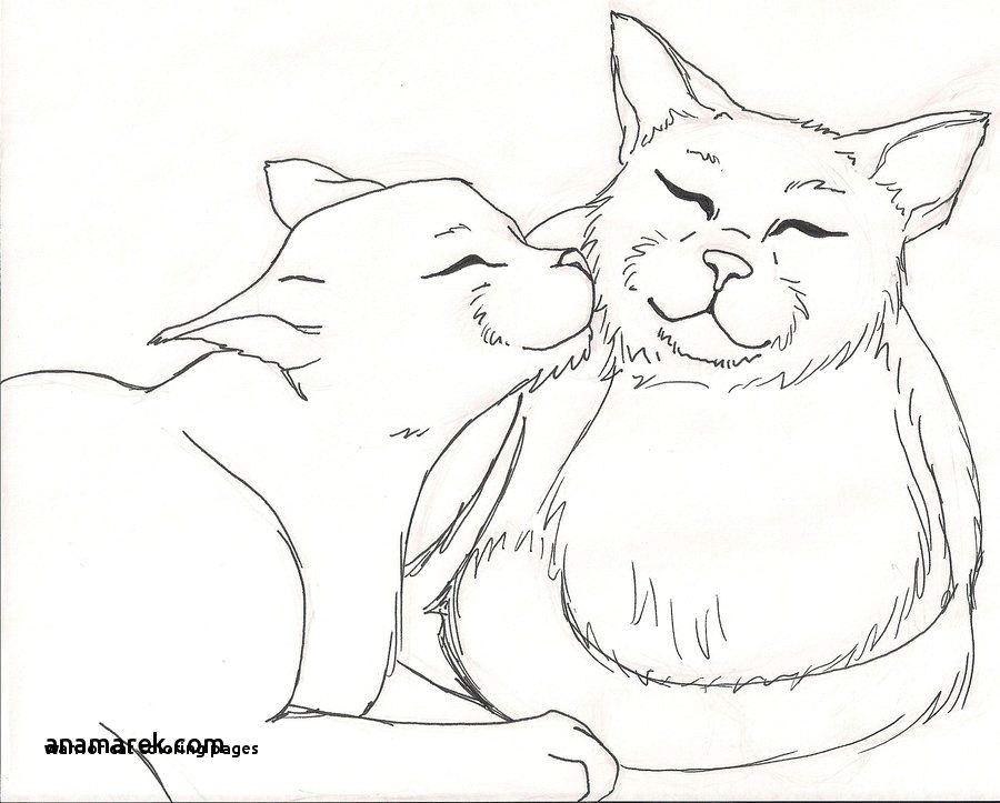 Drawing Of A Warrior Cat Warrior Cat Coloring Pages Unique Warrior Cat Coloring Pages Warrior