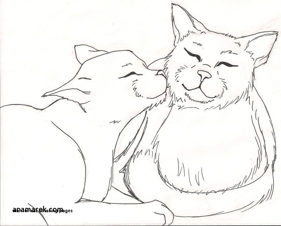 Drawing Of A Warrior Cat Warrior Cat Coloring Pages Unique Warrior Cat Coloring Pages Warrior