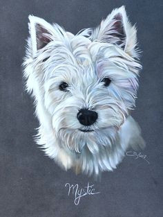 Drawing Of A Westie Dog 20350 Best All Things Westie Images In 2019 Westies Doggies Pets