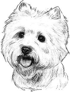 Drawing Of A Westie Dog 331 Best Westie Art Images In 2019 West Highland Terrier Dogs