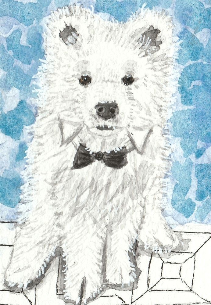 Drawing Of A White Dog Details About Samoyed White Dog Watercolor Aceo original Painting