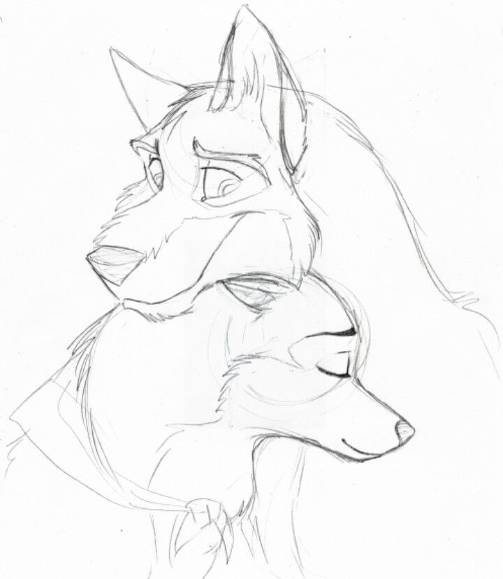 Drawing Of A Wolf Cartoon Pin by Savannah Martinez 01d On Balto Fan Art Pinterest