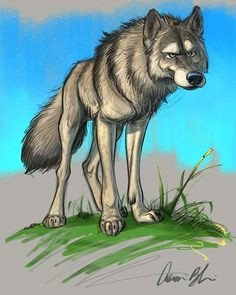 Drawing Of A Wolf Dog 947 Best Wolf Images In 2019 Character Design Drawings Fantasy