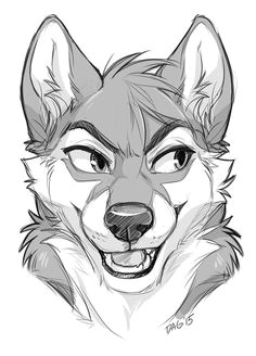 Drawing Of A Wolf Furry 134 Best Fursona Images Drawings Furry Art Sketches