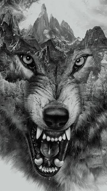 Drawing Of A Wolf Growling 14 Awesome Wolf Tattoos for Women and Men Pop Tattoo Wolf