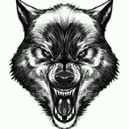 Drawing Of A Wolf Growling Pin by Clips Scott On My Next Tatt Wolf Tattoos Tattoos Wolf