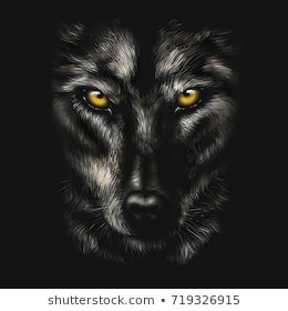 Drawing Of A Wolf On A Cliff Wolf Images Stock Photos Vectors Shutterstock