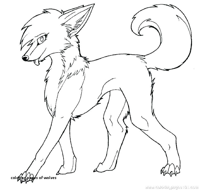 Drawing Of A Wolf Pup 10 Luxury Anime Wolf Coloring Pages Coloring Page