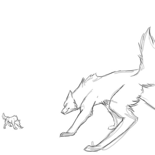 Drawing Of A Wolf Running Wolf Fight Animation by Runeme Deviantart Com On Deviantart Art