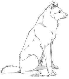 Drawing Of A Wolf Sitting 22 Best Wolf Line Art Images Art Coloring Pages Design Tattoos