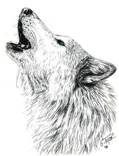 Drawing Of A Wolf Sitting 403 Best Wolf Howling Images Sketches Drawings Cool Drawings