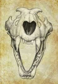 Drawing Of A Wolf Skeleton Image Result for Wolf Skull Tattoo Tattoos Arte Del Craneo