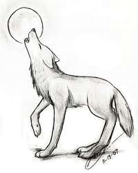Drawing Of A Wolf Step by Step Burakcz Burakcz001 On Pinterest