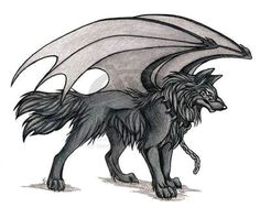 Drawing Of A Wolf with Wings Wolves with Wings