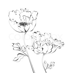 Drawing Of All Flowers 173 Best Drawings Flowers More Images Flower Designs Coloring