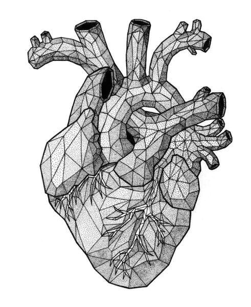 Drawing Of An Actual Heart Poligonal Heart Tattoo Anatomical Heart Drawings Heart Art