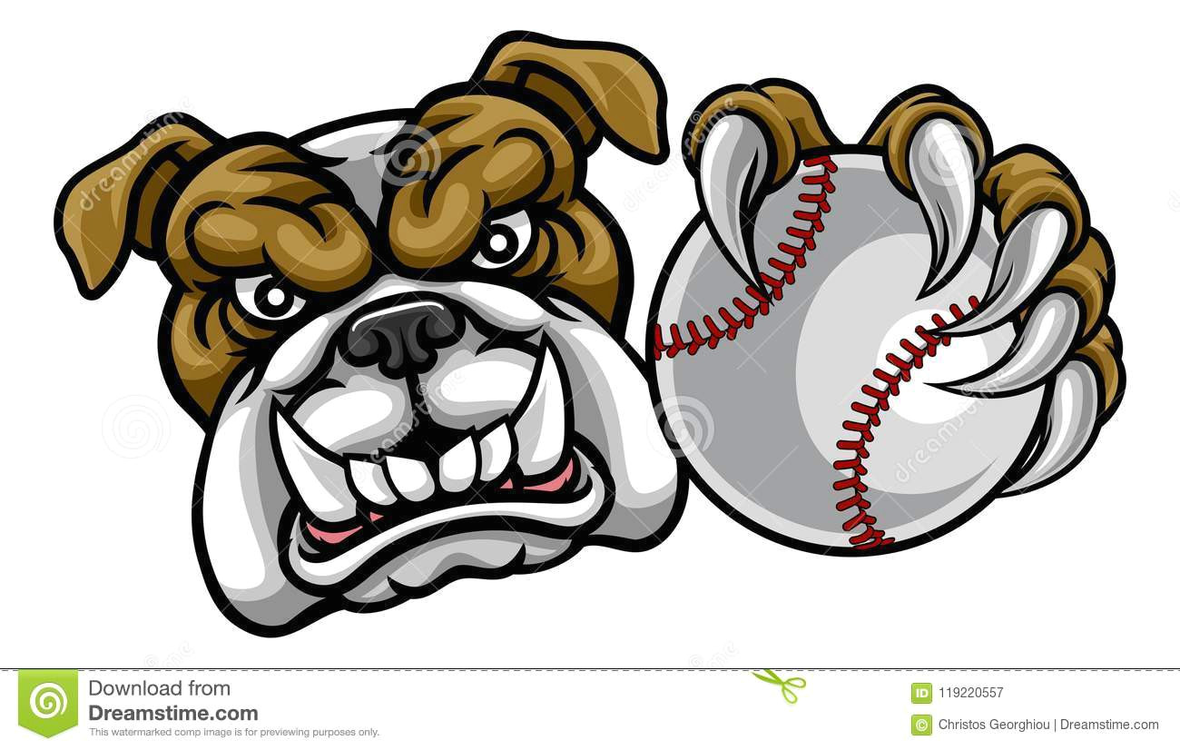 Drawing Of An Angry Dog Bulldog Dog Holding Baseball Ball Sports Mascot Stock Vector