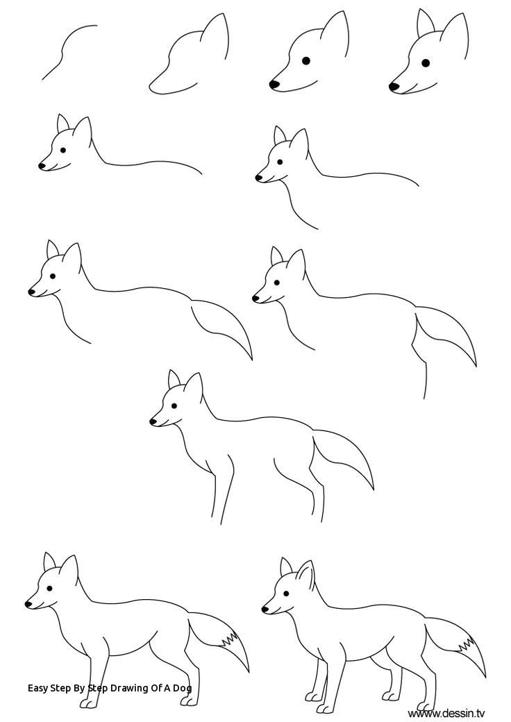 Drawing Of An Dog Easy Easy Step by Step Drawing Of A Dog 289 Best Helpful How to Images On
