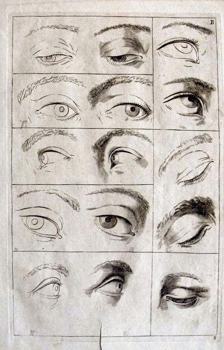 Drawing Of An Eye and Its Parts 53 Best Eyes References Images