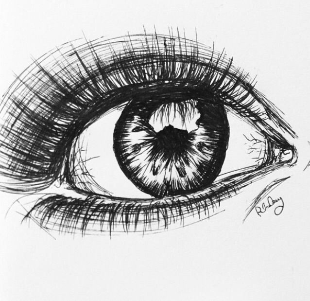 Drawing Of An Eye In Pen Pen Eye Life Draw Art Drawings Art