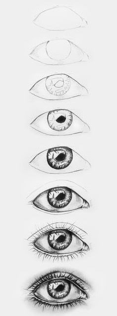 Drawing Of An Eye Labeled 14 Best Human Eye Drawing Images Paintings Painting Drawing