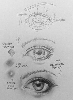 Drawing Of An Eye Labeled 442 Best Eyes Expressions Images Drawing Tutorials Drawing