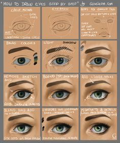 Drawing Of An Eye Labeled 448 Best Draw Human Eyes Images How to Draw Drawing Tutorials