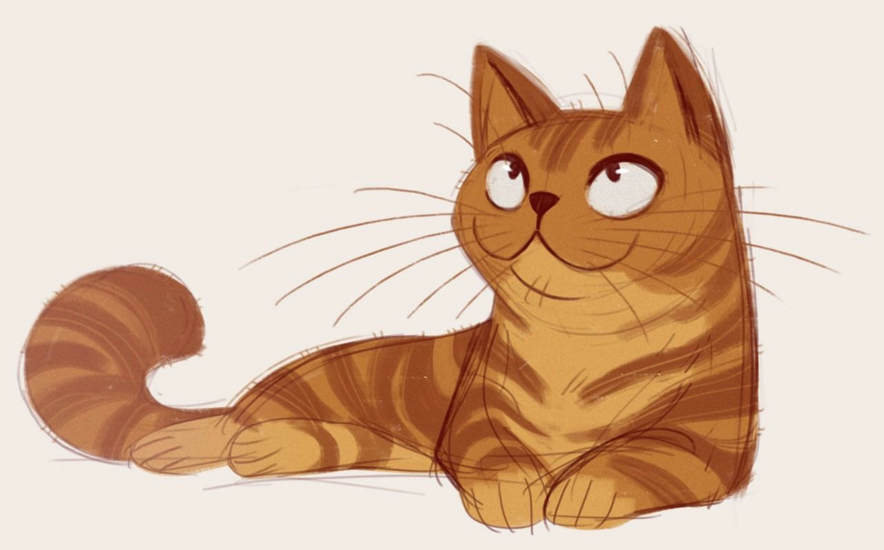 Drawing Of An orange Cat 106 American Shorthair orange Character Design Cats Cat