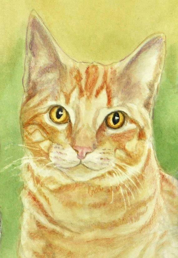 Drawing Of An orange Cat orange Tabby Cat Art Print Cat Watercolor Colored Pencil Print