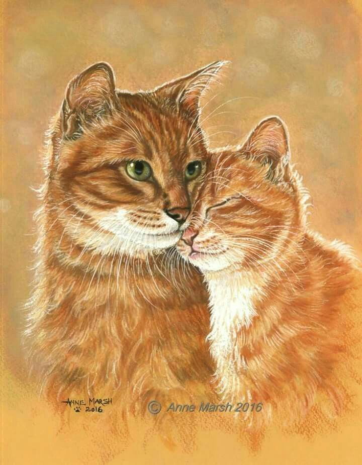 Drawing Of An orange Cat Pin by Tammy Parrott On Cat Art In 2019 Cat Art Cats Ginger Cats
