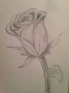Drawing Of Beach Flower Lily Flowers Drawings Flowers Madonna Lily by Syris Darkness