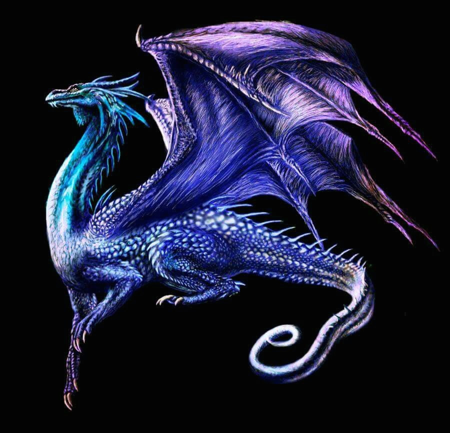 Drawing Of Blue Dragons Pin by Dyane On Drawing Pinterest Dragons