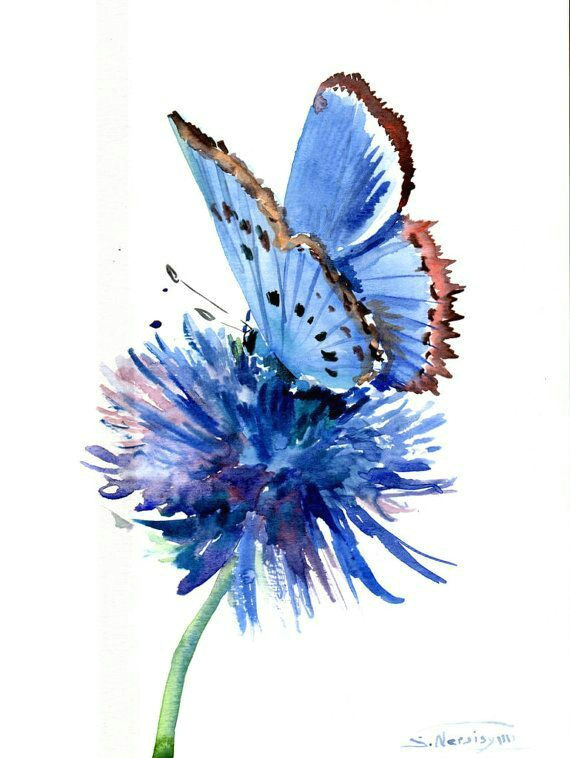 Drawing Of Blue Flowers Stunning Watercolor Flower and butterfly Watercolor Pinterest